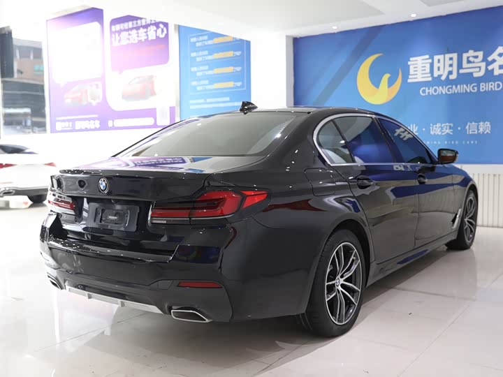 Фото 6 - BMW 5 Series Hybrid