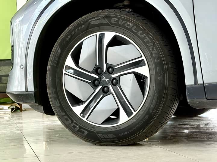 Фото 4 - XPeng G6