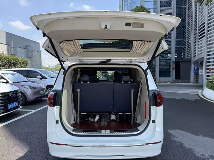 Фото 27 - Buick GL8 ES