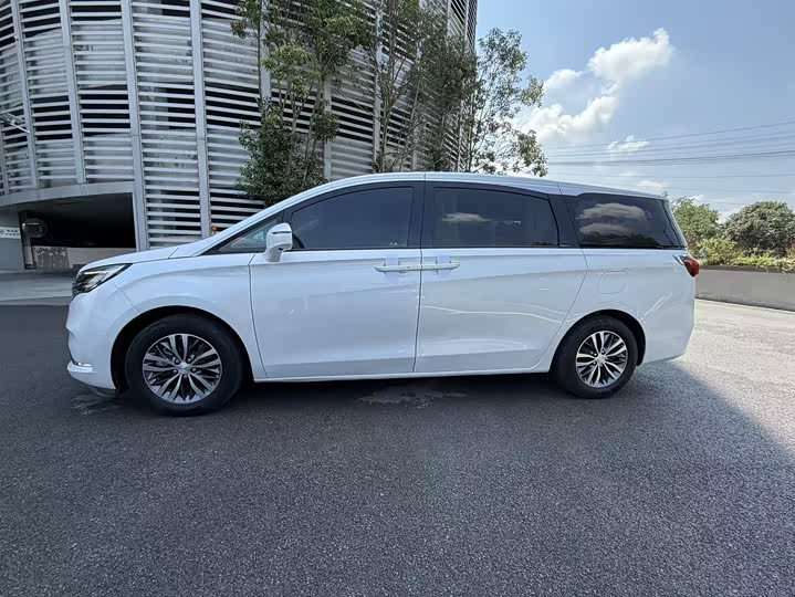 Фото 4 - Buick GL8 ES