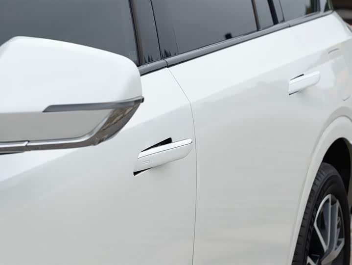 Фото 13 - GAC Trumpchi ES9