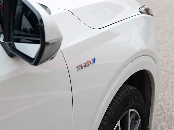 Фото 19 - GAC Trumpchi ES9