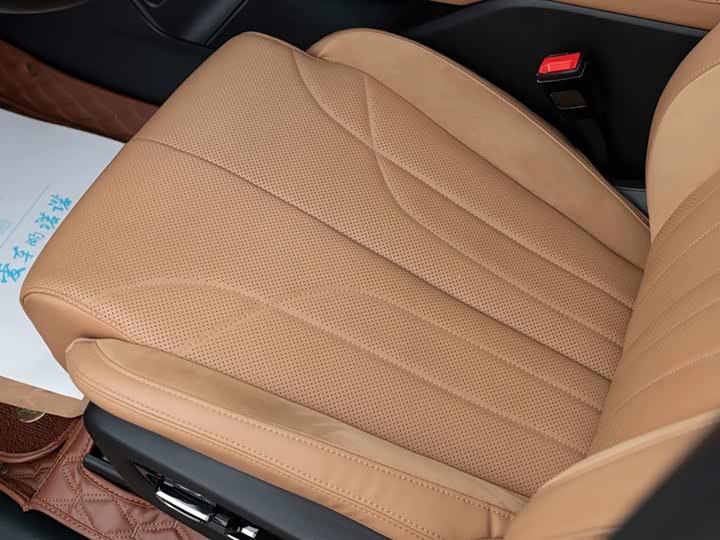 Фото 35 - GAC Trumpchi ES9