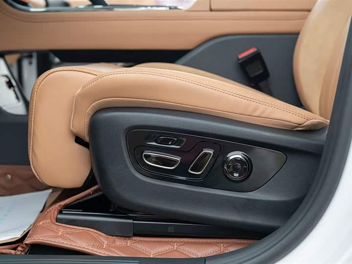 Фото 36 - GAC Trumpchi ES9