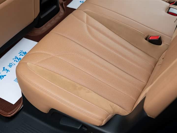 Фото 45 - GAC Trumpchi ES9