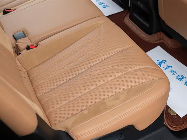 Фото 49 - GAC Trumpchi ES9