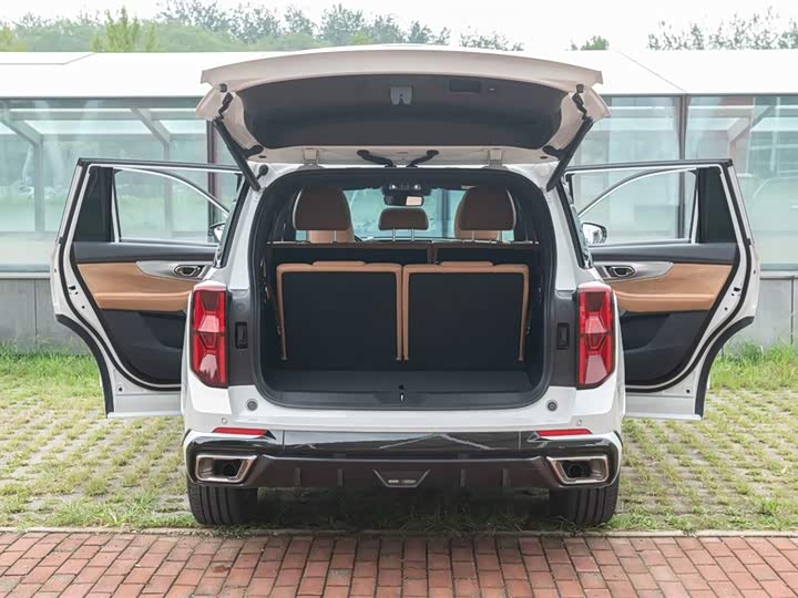 Фото 50 - GAC Trumpchi ES9