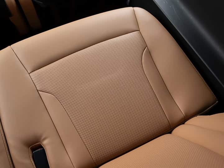 Фото 54 - GAC Trumpchi ES9