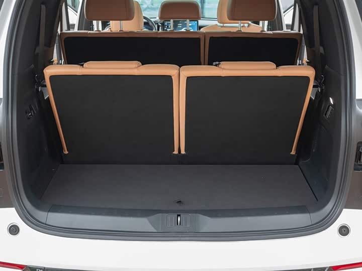 Фото 56 - GAC Trumpchi ES9