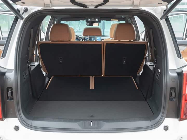 Фото 57 - GAC Trumpchi ES9