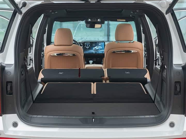 Фото 58 - GAC Trumpchi ES9