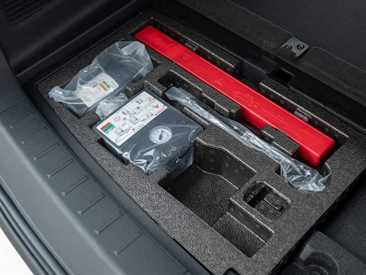 Фото 60 - GAC Trumpchi ES9