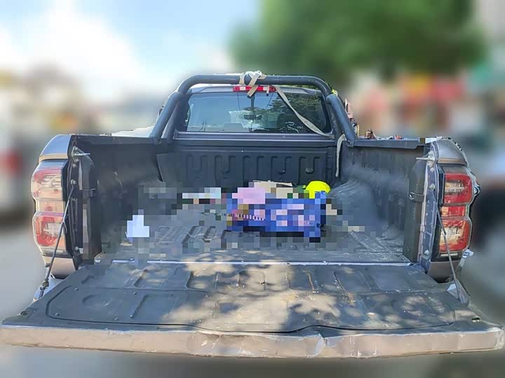 Фото 10 - Great Wall King Kong Poer