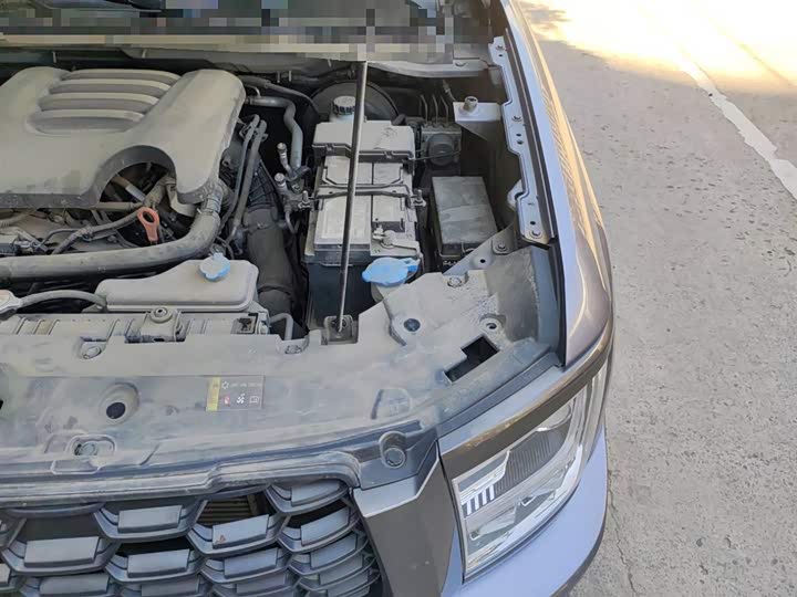 Фото 22 - Great Wall King Kong Poer