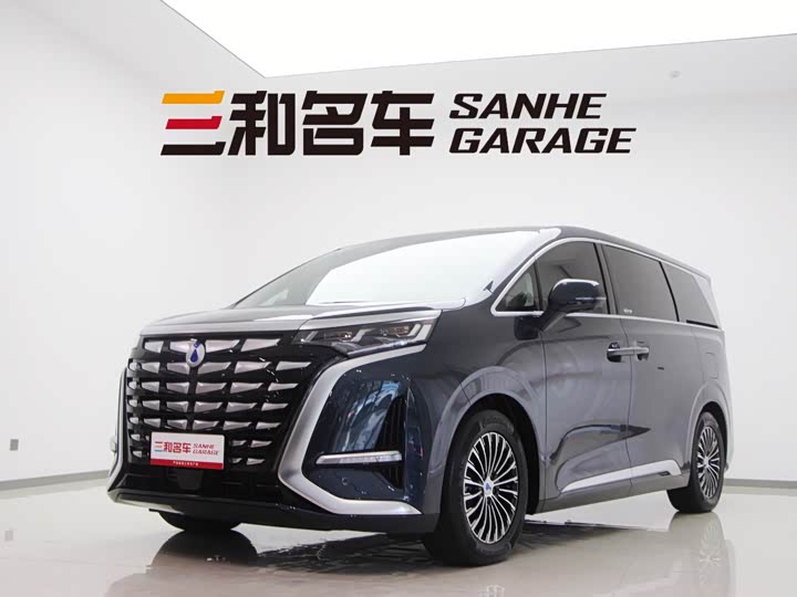 Фото 1 - Denza D9