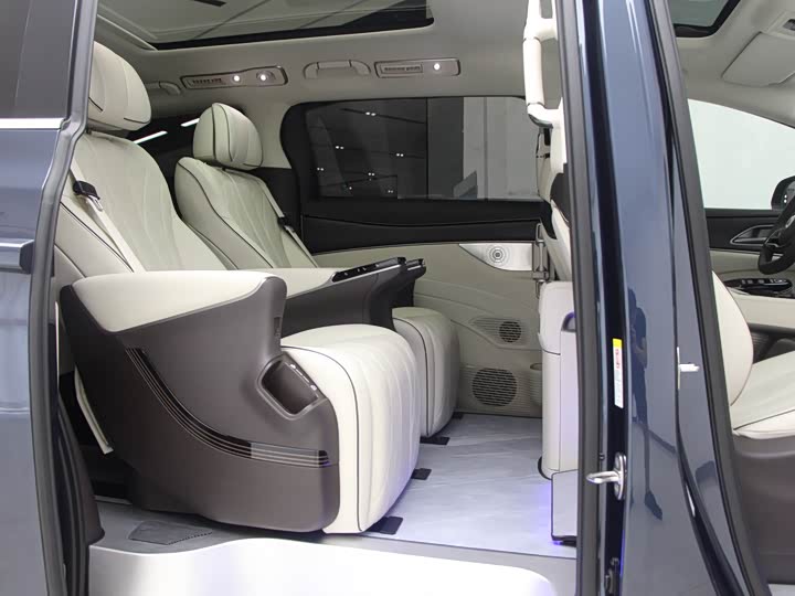 Фото 11 - Denza D9