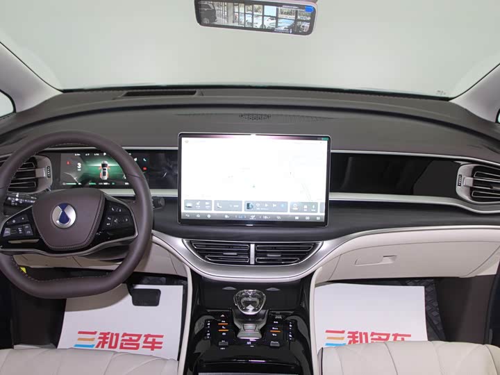 Фото 13 - Denza D9