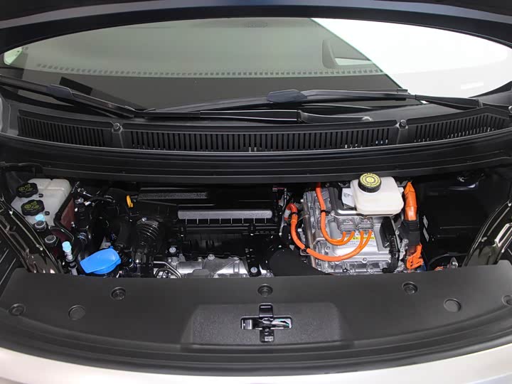 Фото 15 - Denza D9