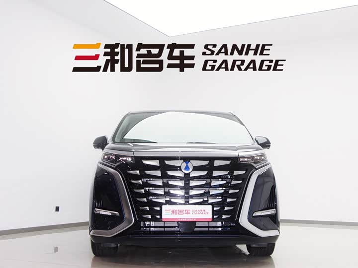 Фото 2 - Denza D9