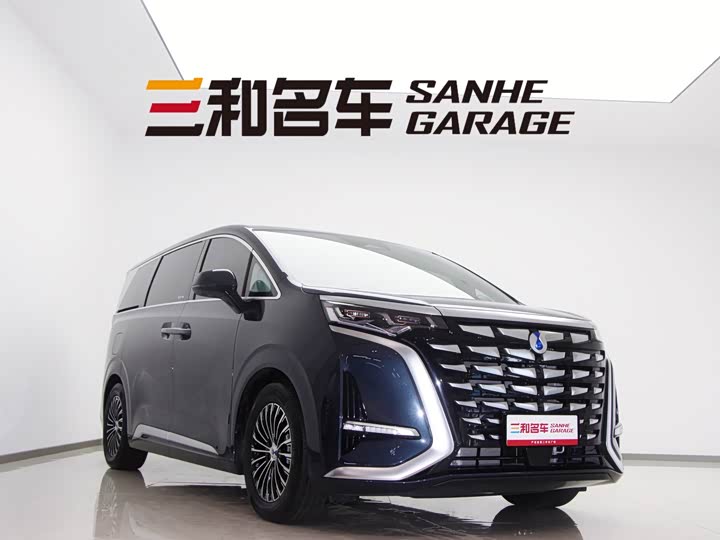 Фото 3 - Denza D9