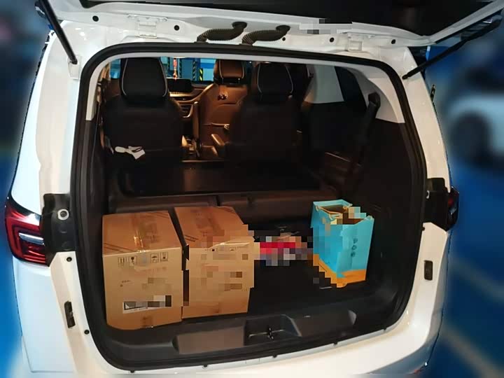 Фото 10 - Buick GL8 ES