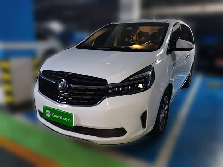 Фото 2 - Buick GL8 ES