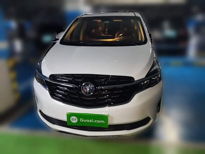 Фото 24 - Buick GL8 ES