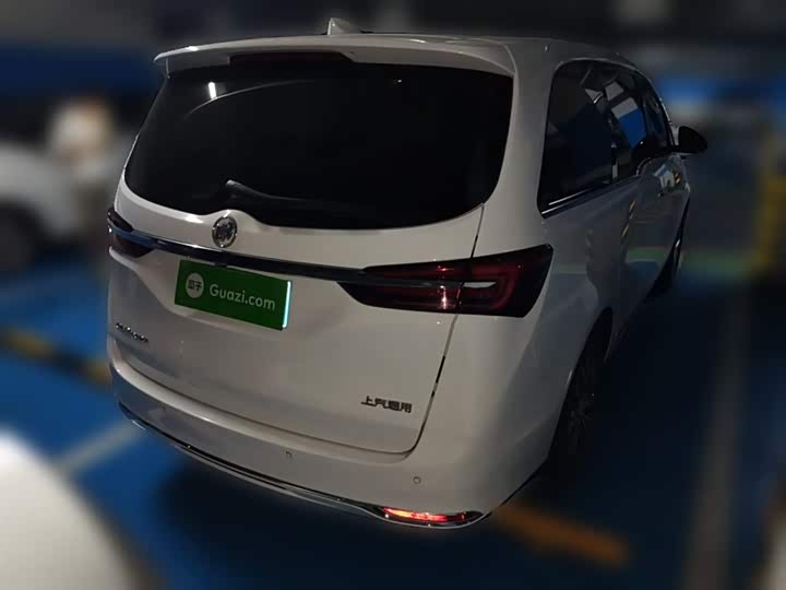 Фото 29 - Buick GL8 ES