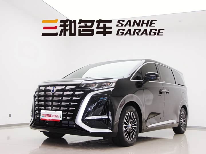 Фото 1 - Denza D9