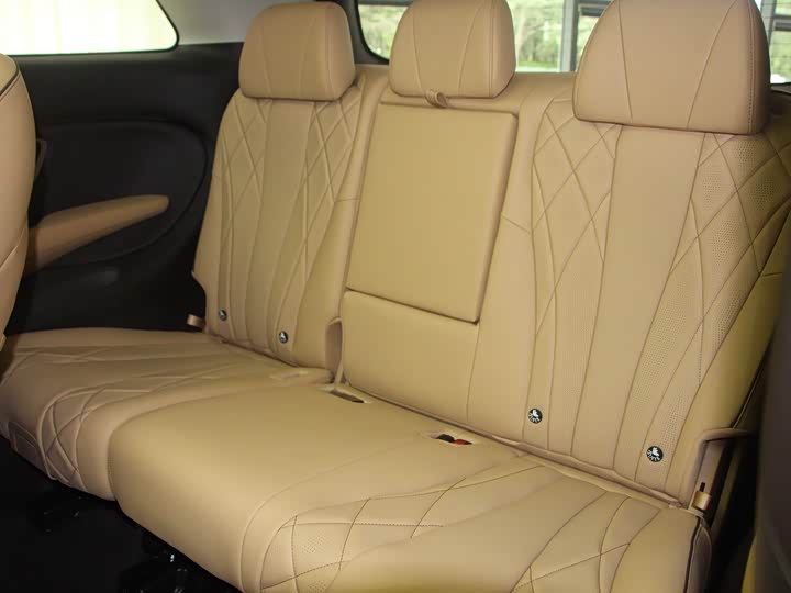 Фото 12 - Denza D9