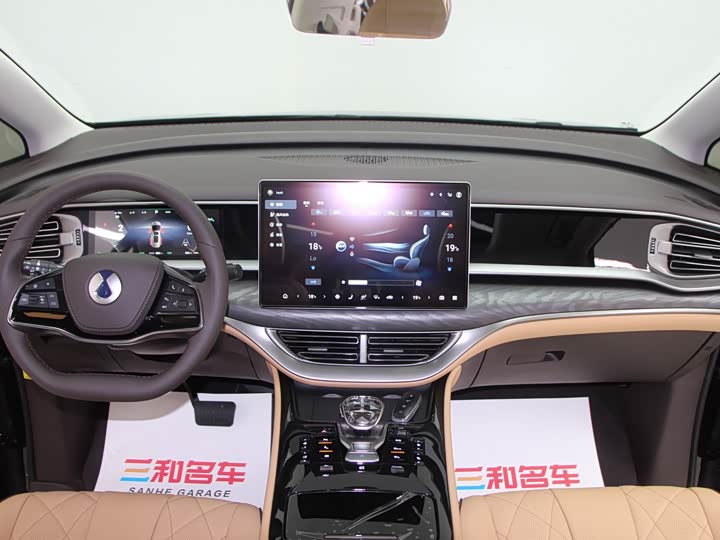 Фото 13 - Denza D9