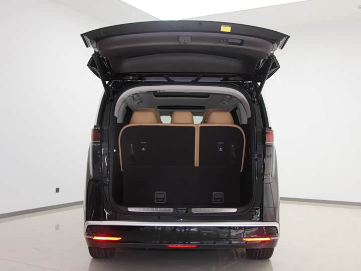 Фото 14 - Denza D9