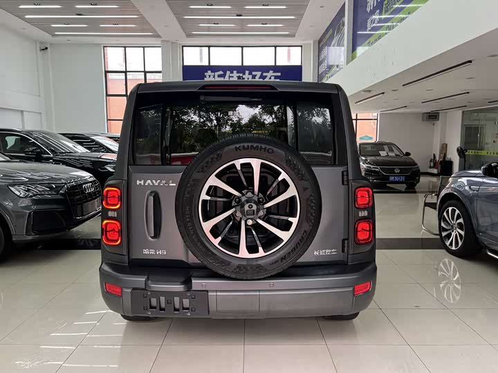 Фото 37 - Haval H9