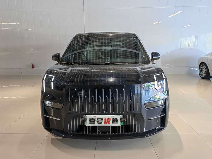 Фото 2 - Zeekr 009