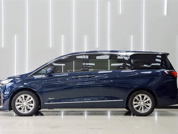 Фото 4 - Buick GL8 ES