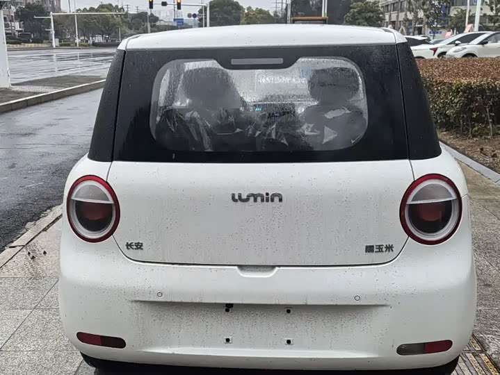 Фото 9 - Changan Qiyuan (Nevo) Lumin