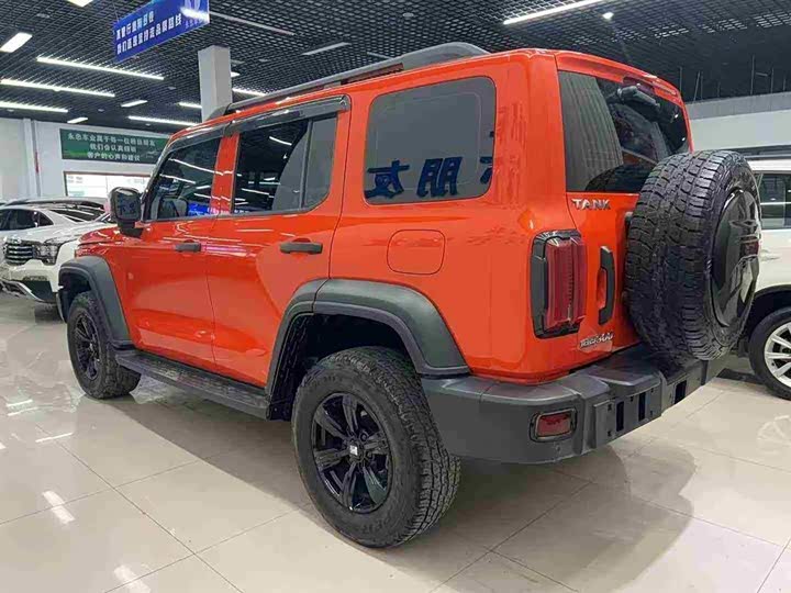 Фото 6 - Tank 300