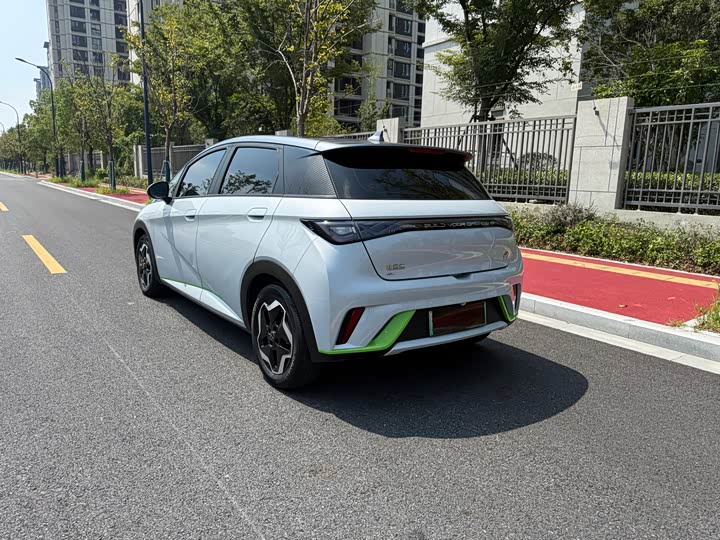 Фото 2 - BYD Dolphin