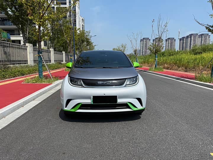 Фото 4 - BYD Dolphin