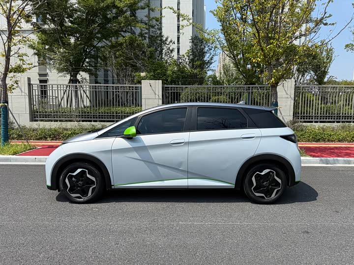 Фото 5 - BYD Dolphin