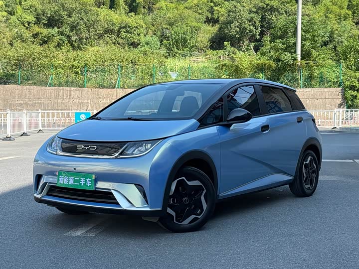 Фото 1 - BYD Dolphin