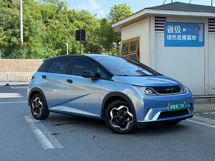 Фото 2 - BYD Dolphin