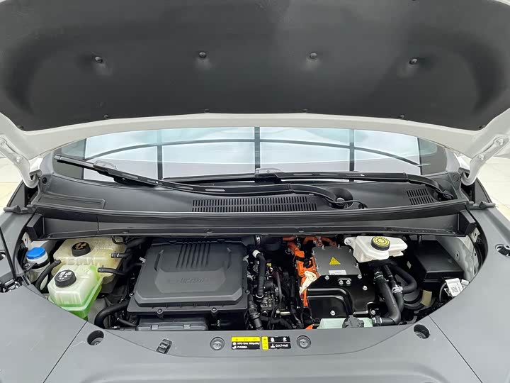 Фото 18 - GAC Trumpchi E9