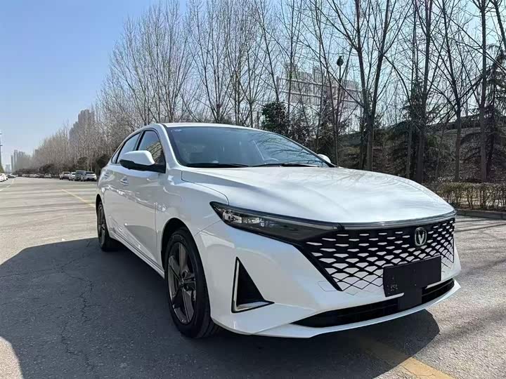 Фото 4 - Changan Raeton Plus