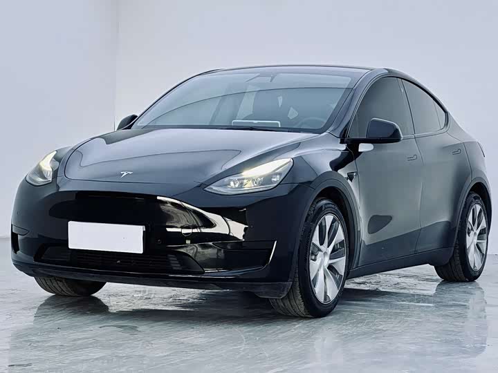 Фото 1 - Tesla Model Y