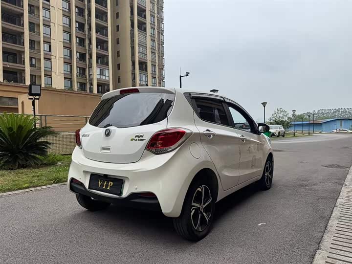 Фото 11 - Changan BenBen E-Star