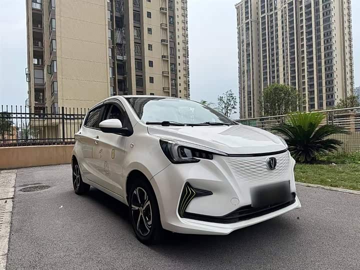 Фото 8 - Changan BenBen E-Star