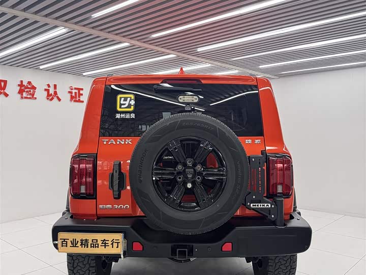 Фото 9 - Tank 300