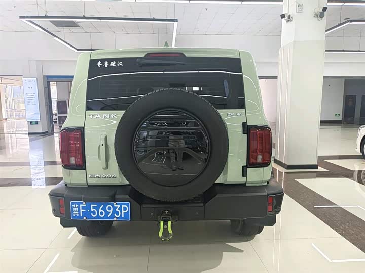 Фото 8 - Tank 300