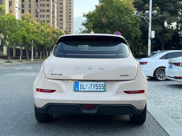 Фото 19 - Ora Good Cat (03)